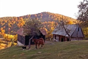 • Cozo Fantu • Chalet de montagne dans les Carpates de Transylvanie en Roumanie