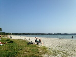 beach in surrounding