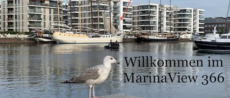 Herzlich Willkomen in der Wohnung MarinaView366