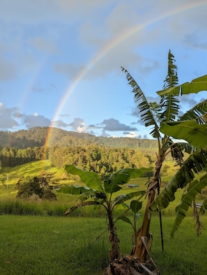 There's a pot of gold in them hills!