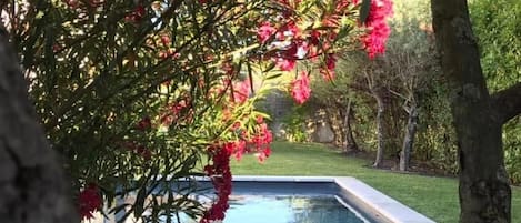 Jardin provençal arboré avec piscine privée à Ventabren près d'Aix en Provence