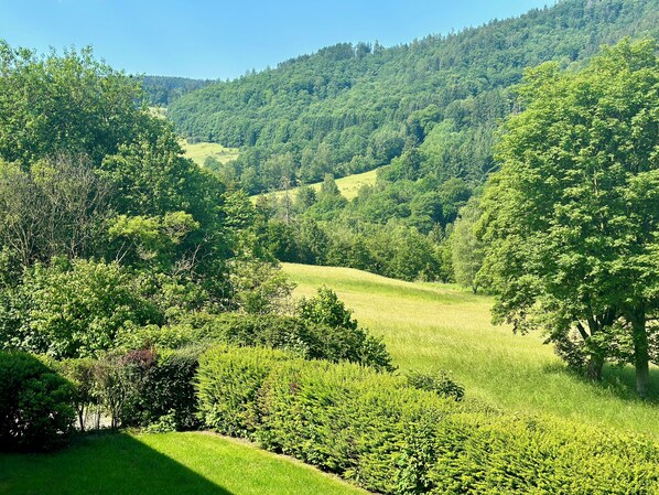 Schöne Aussicht das ganze Jahr!