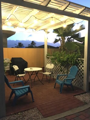 Patio area, garden and gas grill 