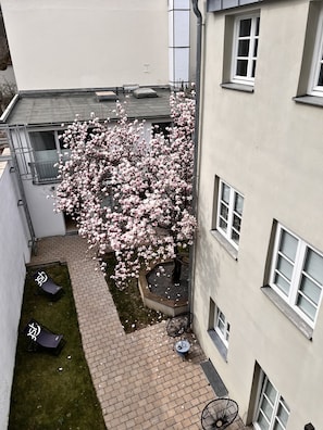 Vista giardino