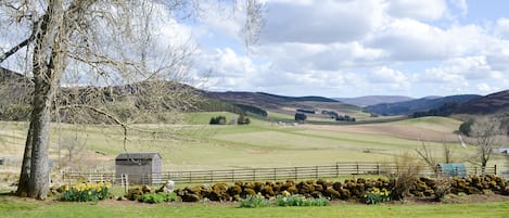 Garden | Rose Cottage, Glenbuchat