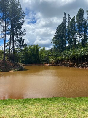 Jardines del alojamiento