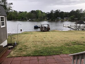 Back yard 