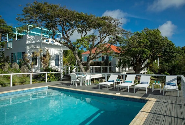 Gorgeous house view from pool