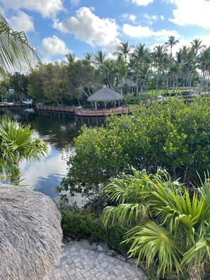 view from upstairs deck