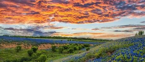 Area shot of the Texas Hill Country