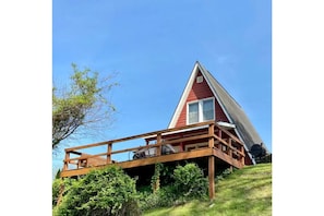 View of cabin from the river