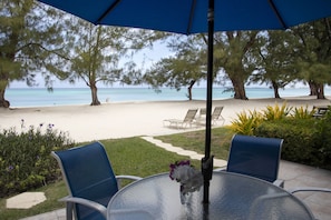 Patio Views - Let's get out on the beach.... a beautiful day for swimming; come join us!