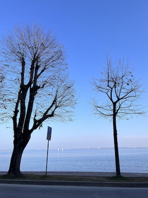 Divers