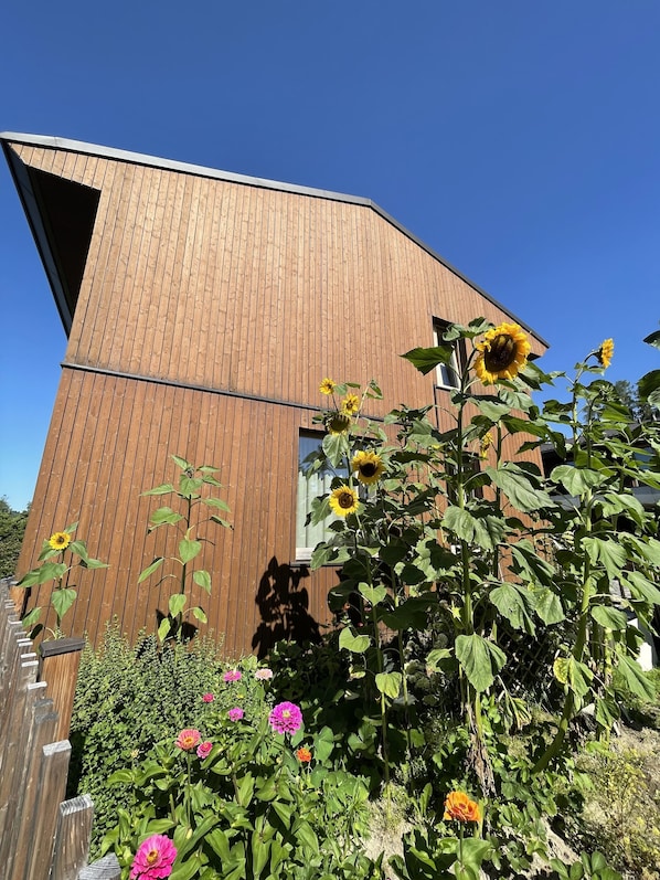 Boendeområde