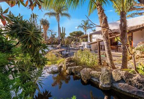 The cactus Lounge Bar Restaurant inside the property. Breackfast, lunch, dinner.