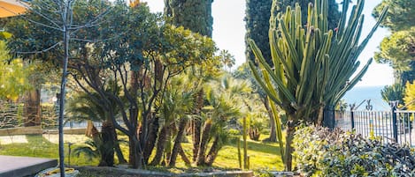 Jardín