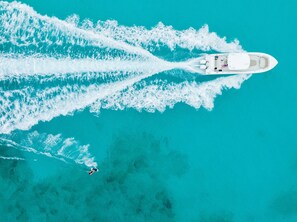 航空写真