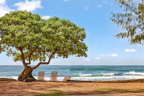Oceanview from the lanai