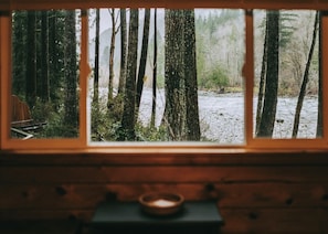 View from the upstairs bedroom.  Watch the river, forest, and mountains all day or stream your favorite shows. from bed.