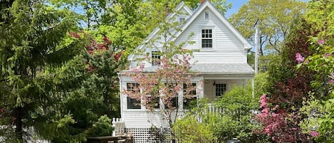 Back yard and porch