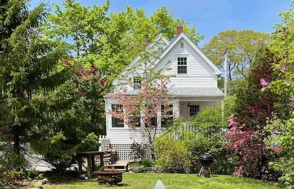 Back yard and porch