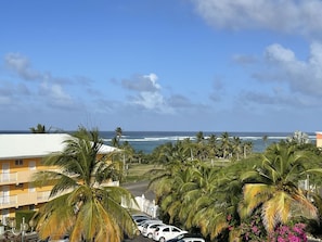 Vista desde la propiedad