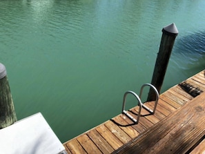 Dock side swim ladder