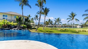 Gorgeous Pool