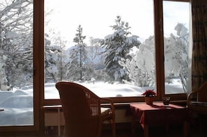 living room, winter