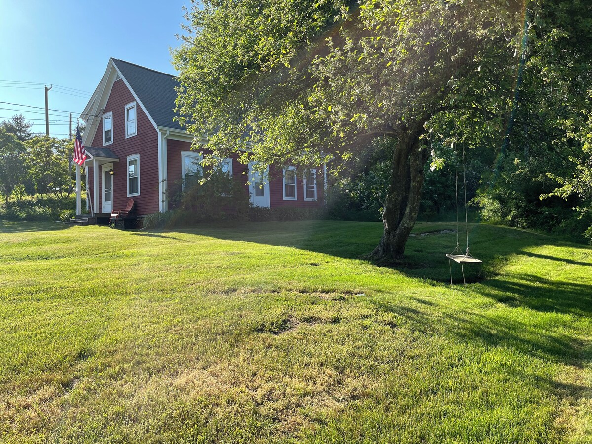 Main Image