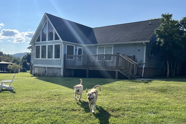 We love dogs and they love the Bears Valley Inn!