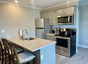 Fully Equipped Kitchen Including Purfied RO water for Ice maker & Faucet 