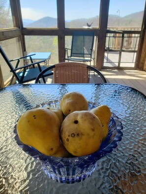 Enjoy meals in the screened in porch sheltered from wind sun and rain.