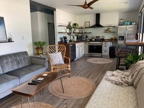 From the front door, this is the front living room with sleeper sofa and open kitchen