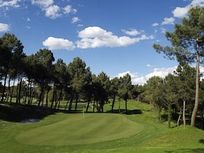 Golf