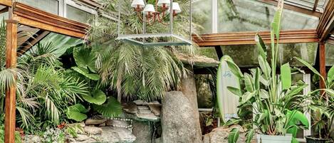 Waterfalls and tropical palm trees in the indoor heated pool