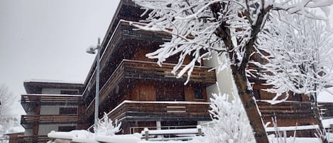 Building, Snow, Sky, House, Wood, Twig, Window, Tree, Plant, Woody Plant