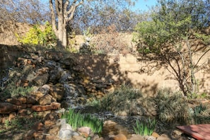 Koi pond and waterfall on front patio