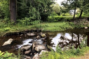 Running stream and swimming right in front of the house. Swimming Hole. Bring your water shoes to enjoy a refreshing dip by the bridge.