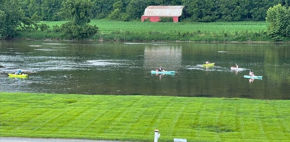 Watch or join the kayakers and rowers.