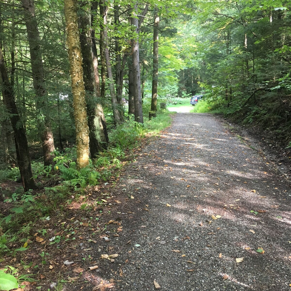 Vermont Summer