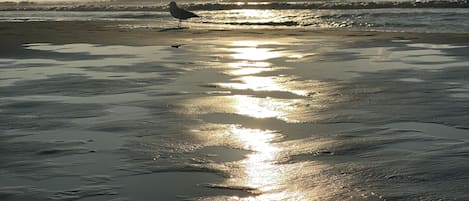 Relax on the beach