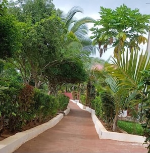 Pathway