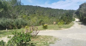 Jardines del alojamiento