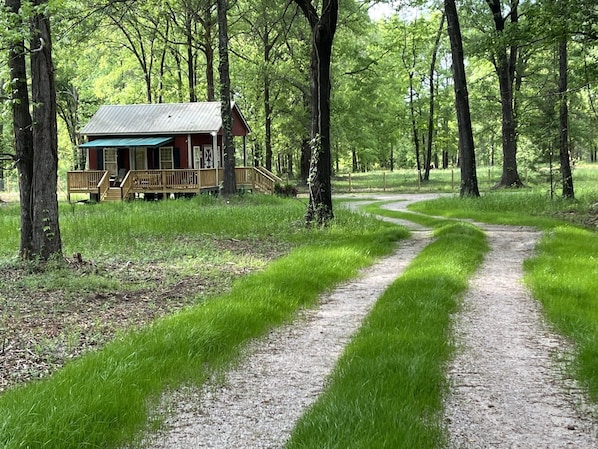 the tack room is nestled in a shady grove accessed by a private drive 