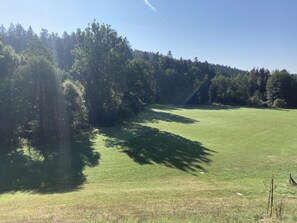 Blick ins Tal von der Terasse