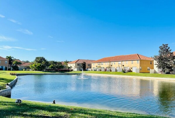 Pond views