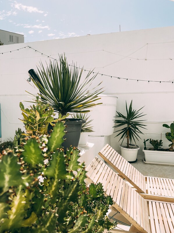 Sunbeds and local plants.