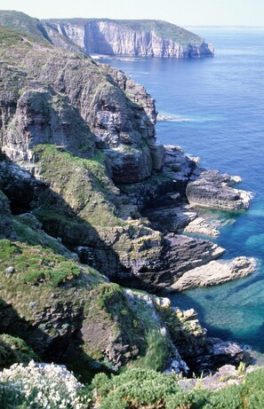 Vue aérienne