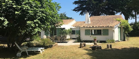 Jardin, transat, table à manger, parasol